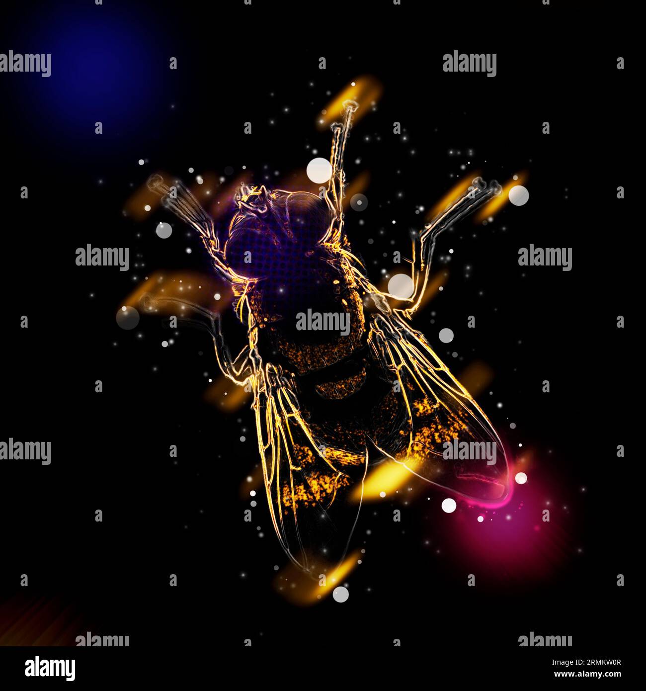 Lighting compound hi-res stock photography and images - Alamy