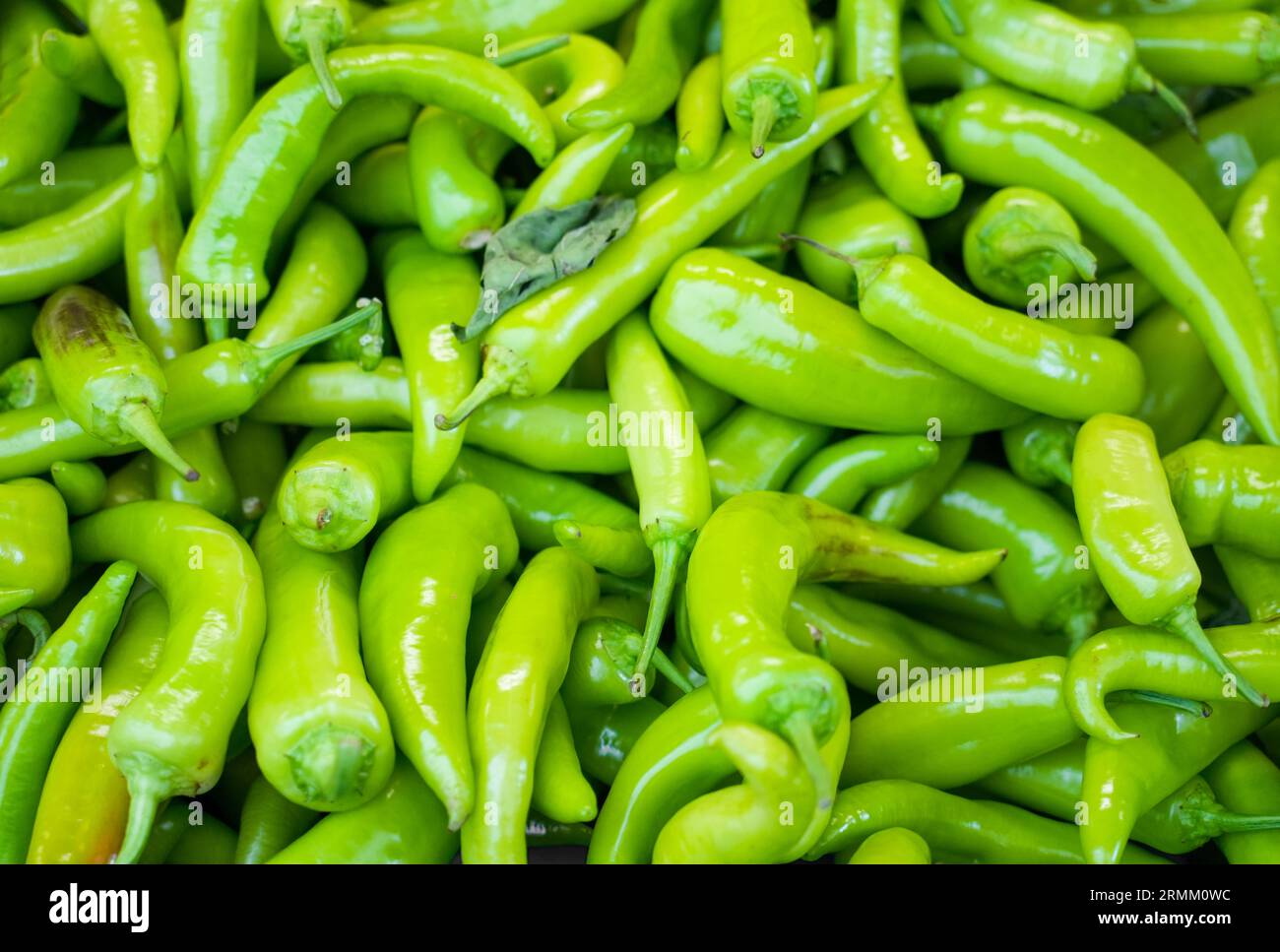 Green chilli close-up. Fresh Vegetables Background. Chili peppers Stock ...