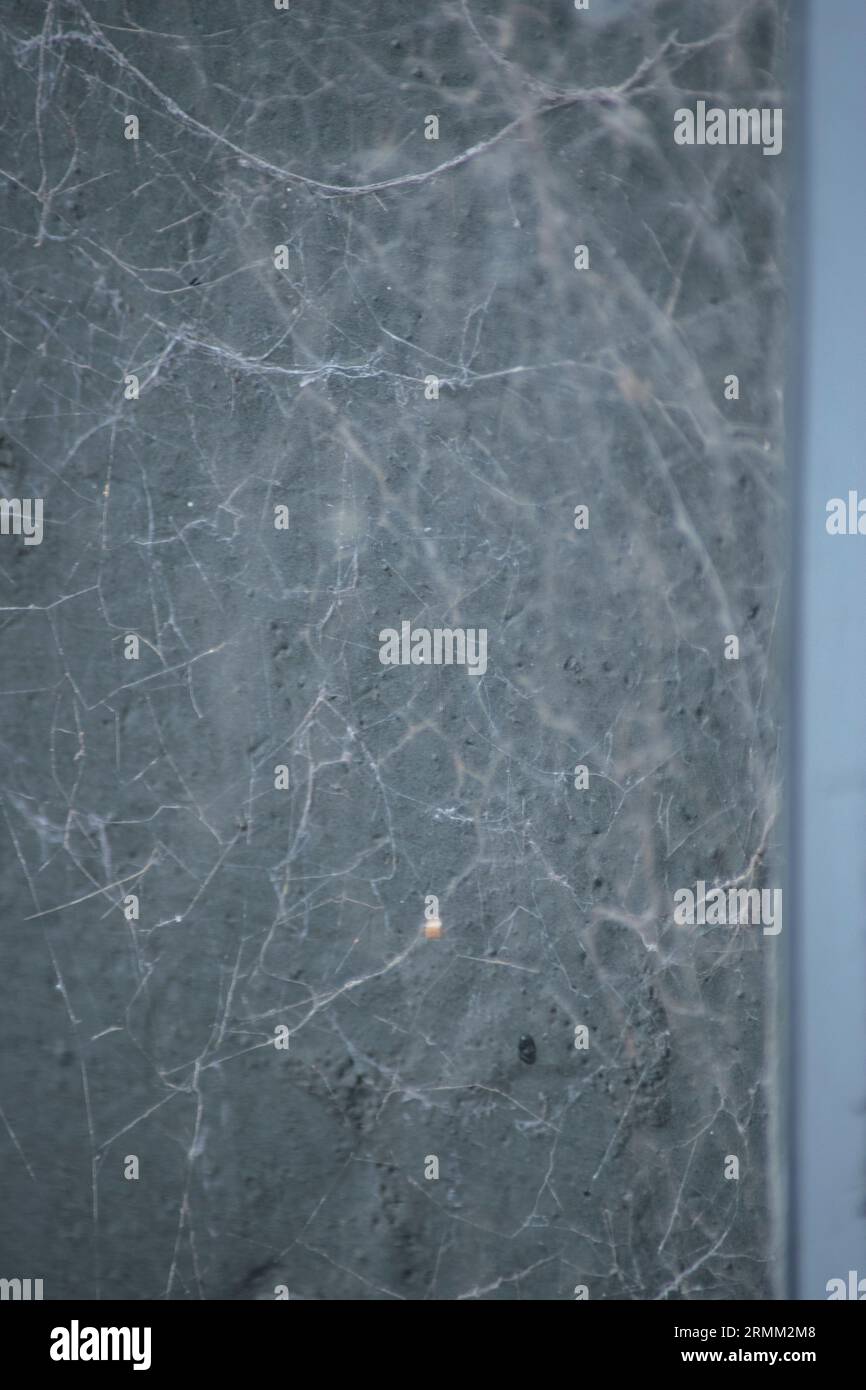Abstract background of the pattern of a cobweb Stock Photo - Alamy
