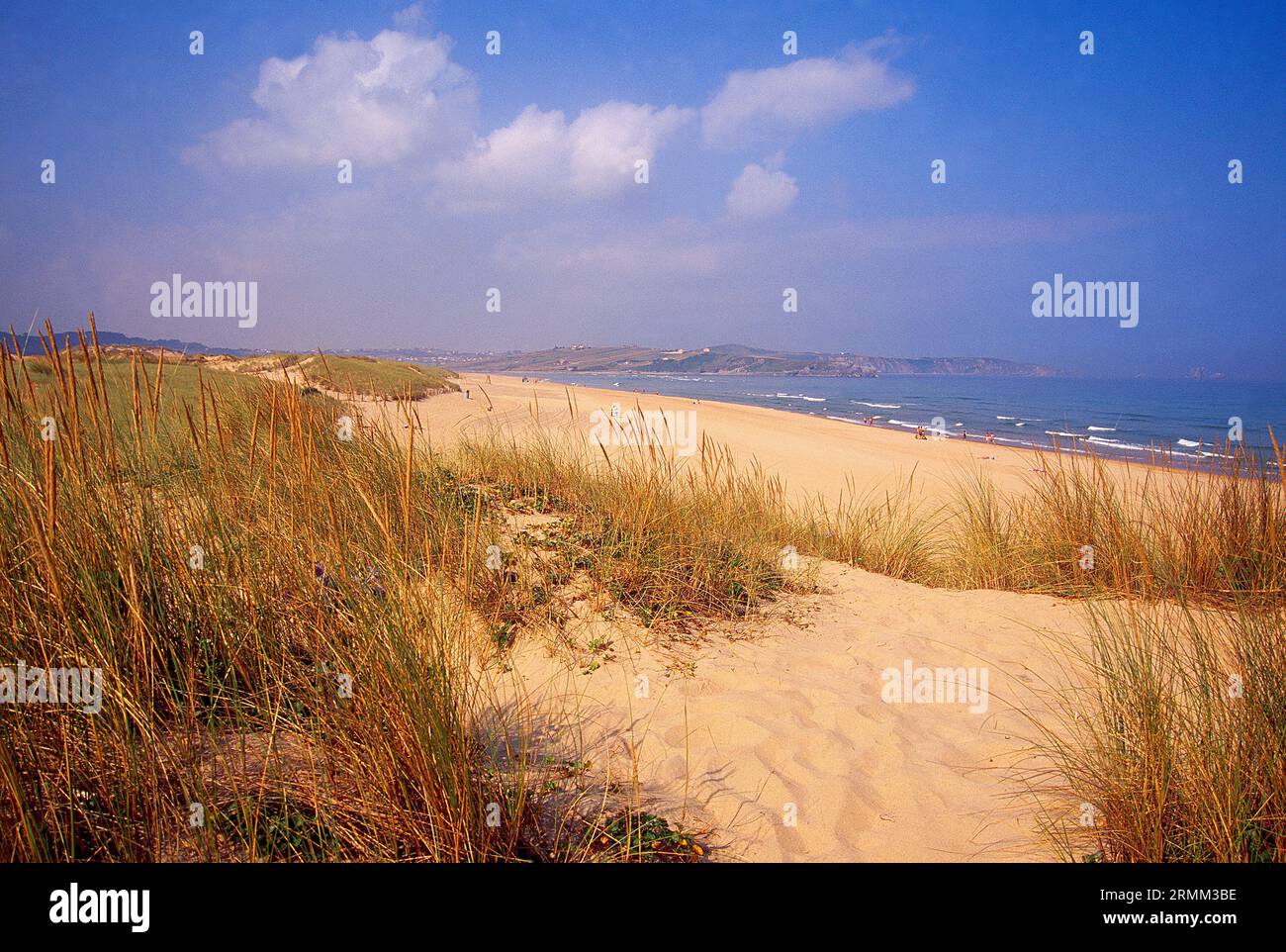 Dunes in Valdearenas beach. Dunas de Liencres Nature Reserve, Cantabria, Spain. Stock Photo