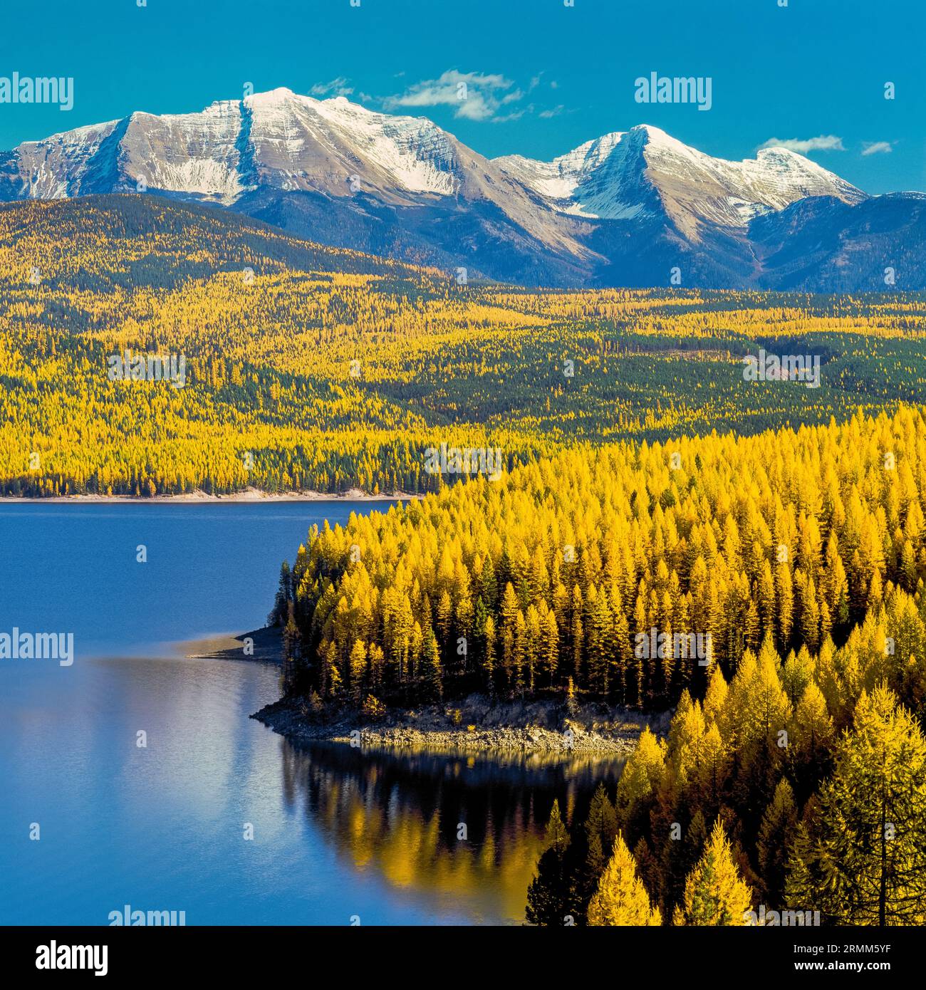 hungry horse reservoir below autumn larch and peaks of the flathead range (great northern mountain and mount grant) near hungry horse, montana Stock Photo