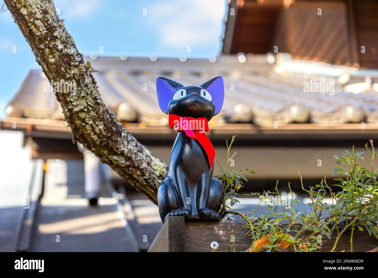Donguri hi-res stock photography and images - Alamy