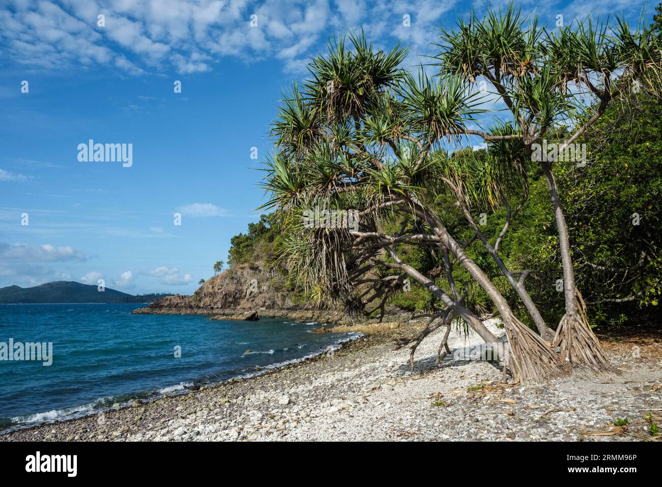 Coral Bay and view towards Whitsunday Islands, Conway National Park, near Shute Harbour, Whitsunday Coast, Queensland, Australia Stock Photo