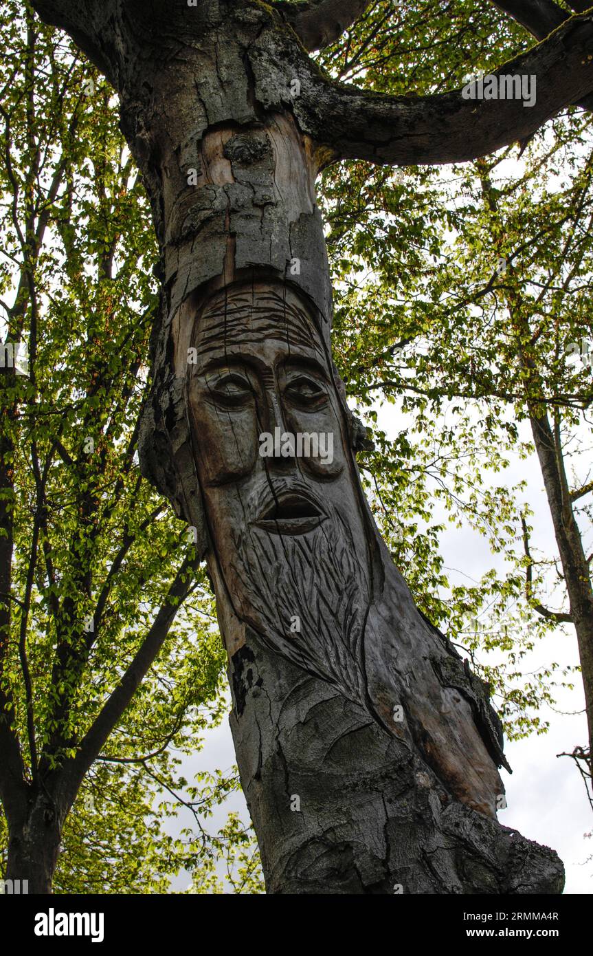 TREE TRUNK - WOOD CARVING - SCULPTED TREE TRUNK - WOODEN SCULPTURE - CAMBRAI FRANCE © photography : Frédéric BEAUMONT Stock Photo