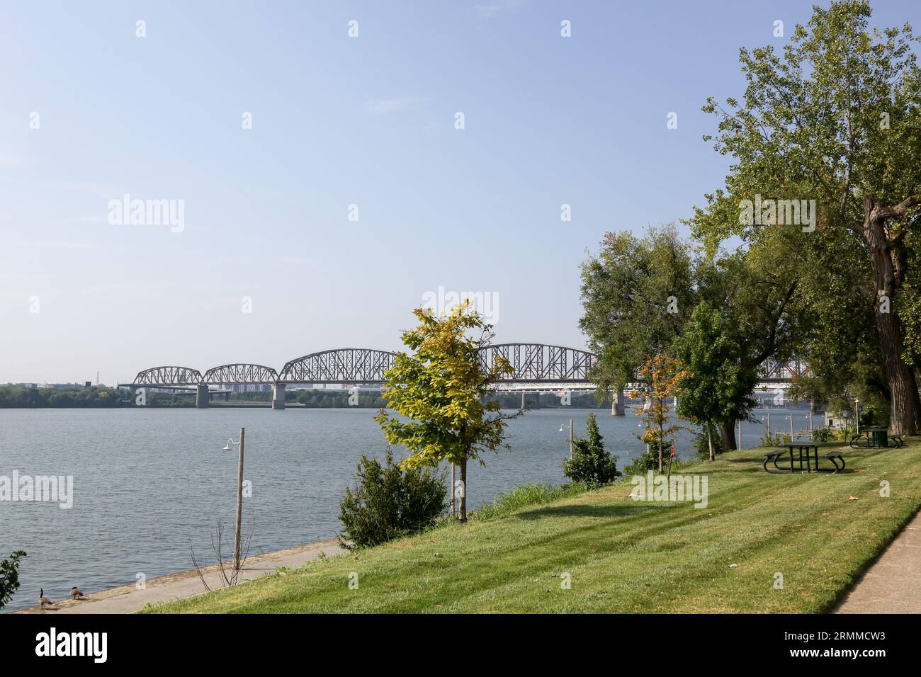 Birds of indiana hi-res stock photography and images - Alamy