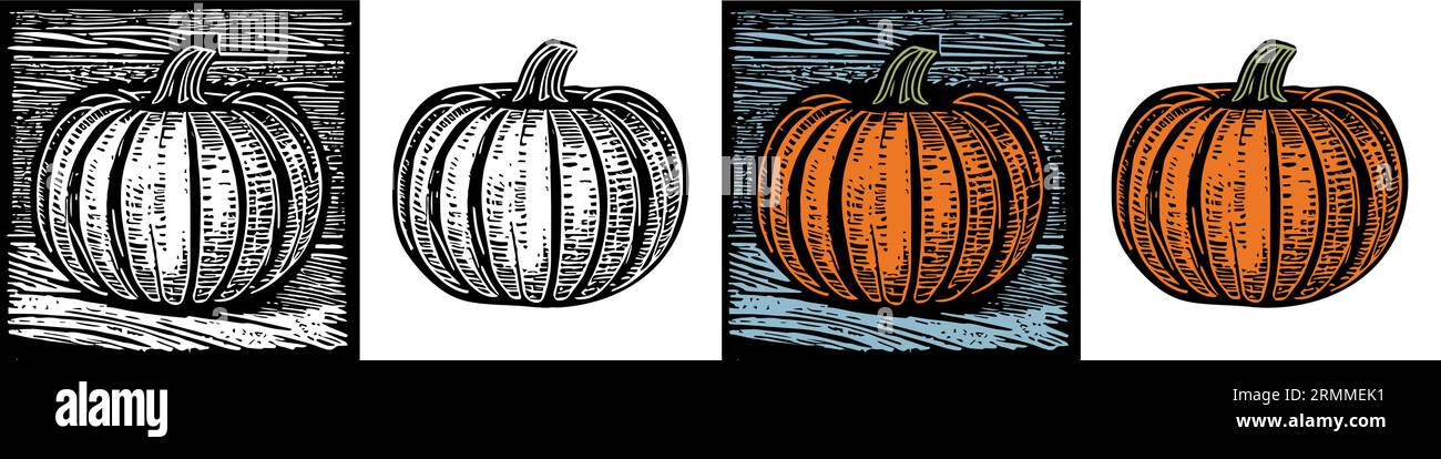 Pumpkin engraving illustration linocut or woodcut, color and BW Stock