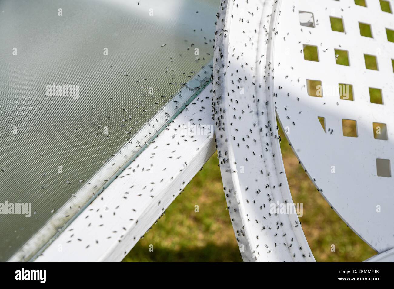 Plastic garden chair hi res stock photography and images Alamy