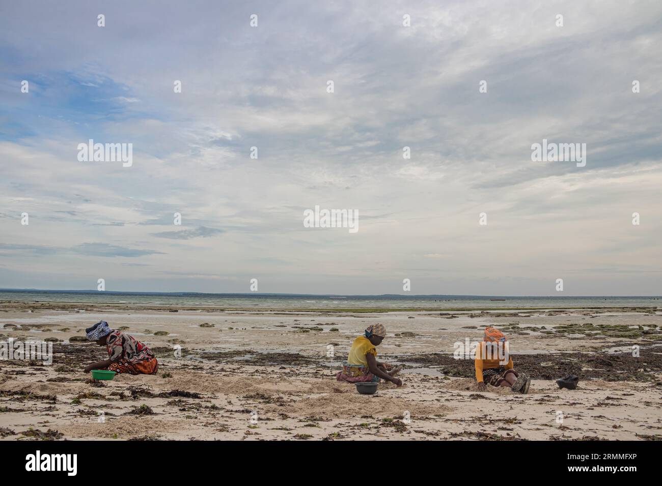 Group of woman from small African village in Mozambique at the shore of Indian ocean, collecting colorful stones and shells during low tide Stock Photo