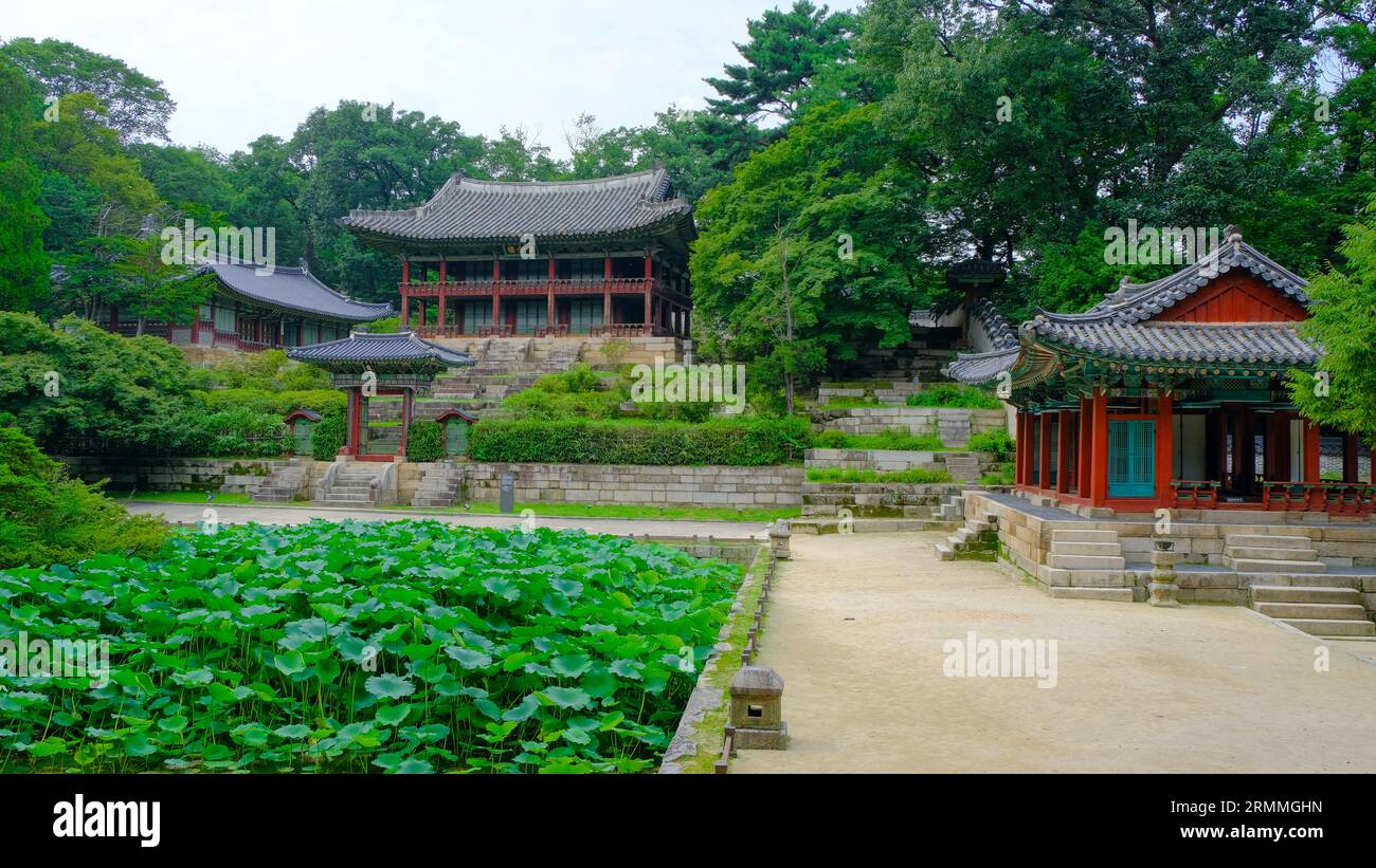 Buyongji pond and Juhamnu Pavilion in the Secret Garden at Changdeokgung Palace in Seoul, South Korea Stock Photo