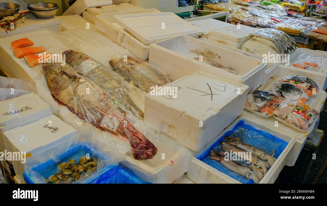 Fresh seafood at Gwangjang Market in Seoul, South Korea Stock Photo