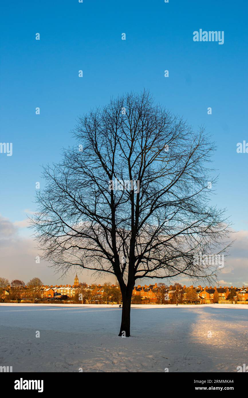 south park Darlington Stock Photo Alamy