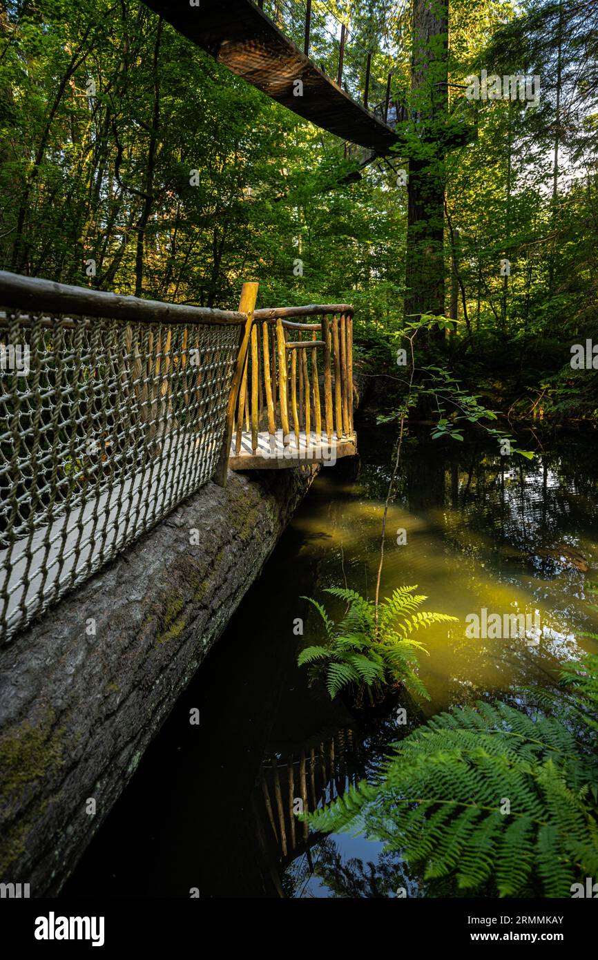 Capilano Suspension Bridge Park in Vancouver, BC Stock Photo