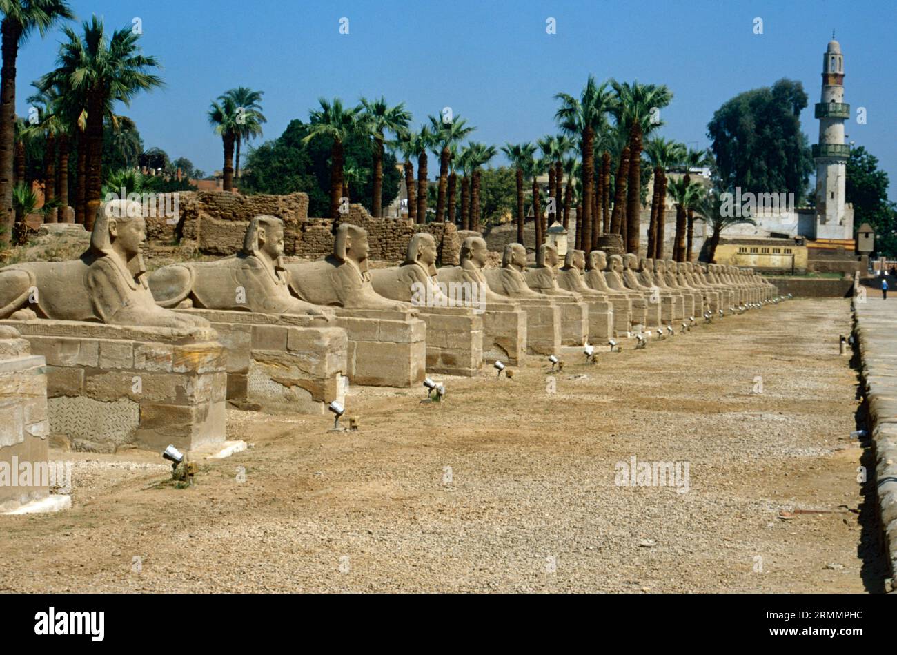 The Avenue of the Sphinxes with the Abu Haggag Mosque in the background Luxor Egypt Stock Photo