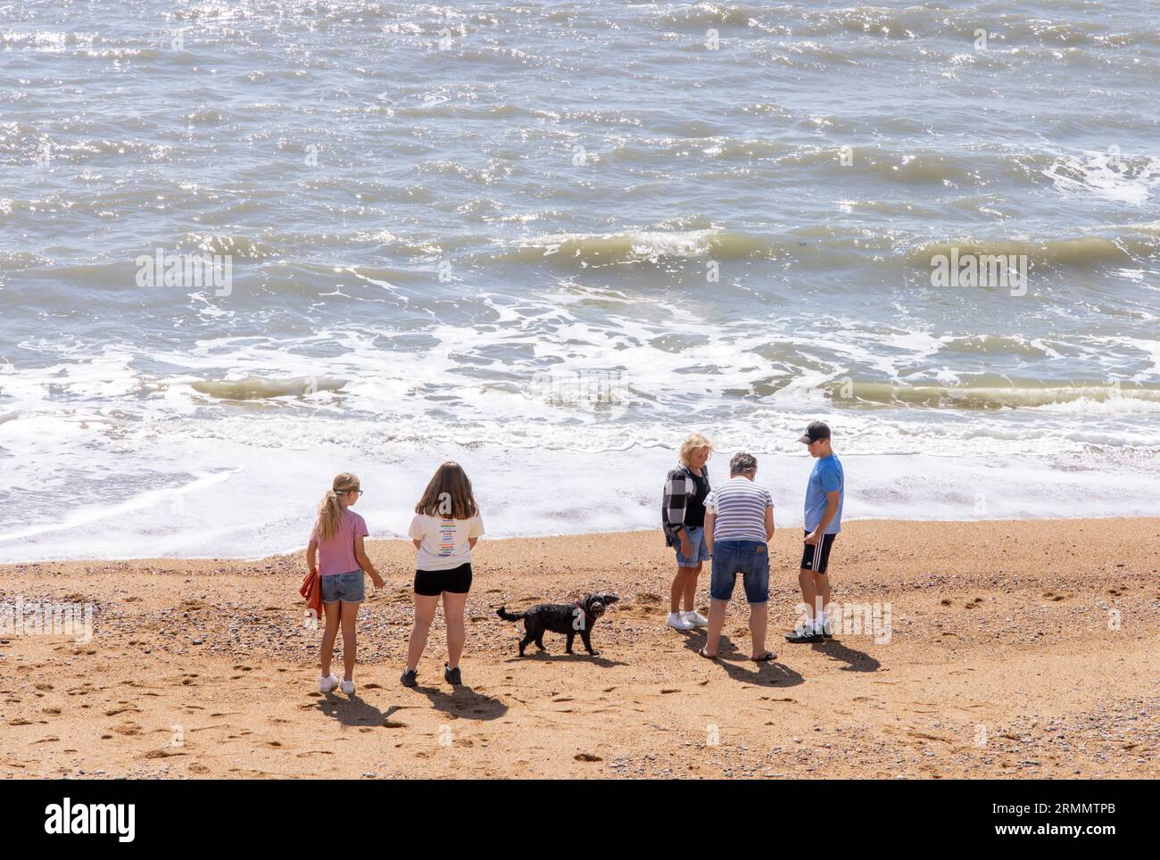 UK Beach summer family. A family with their dog at the water's edge, Hive Bay beach, Hive Bay Dorset UK. UK lifestyle staycation. Stock Photo