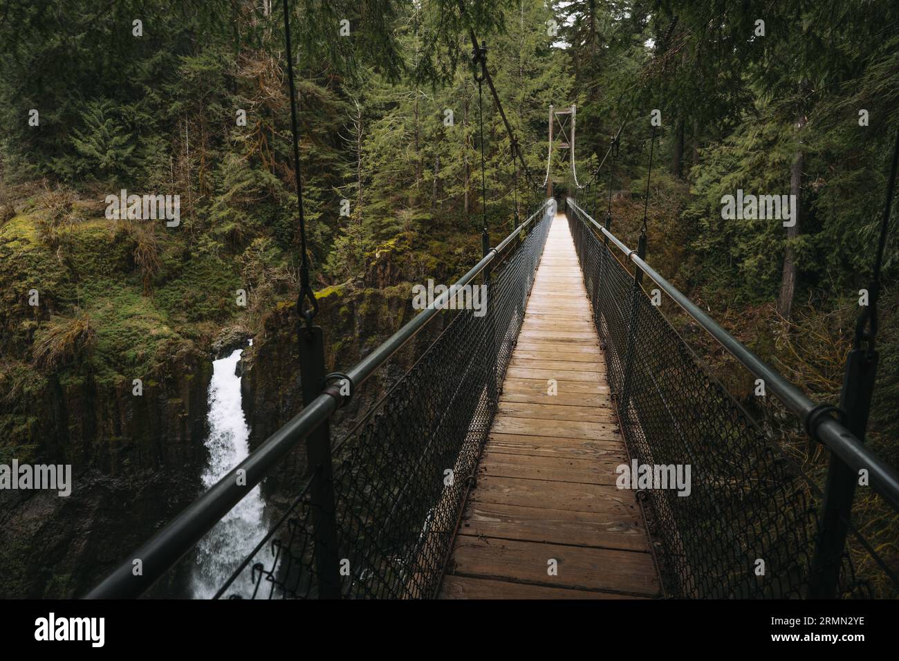 Suspension bridge hike Stock Photo