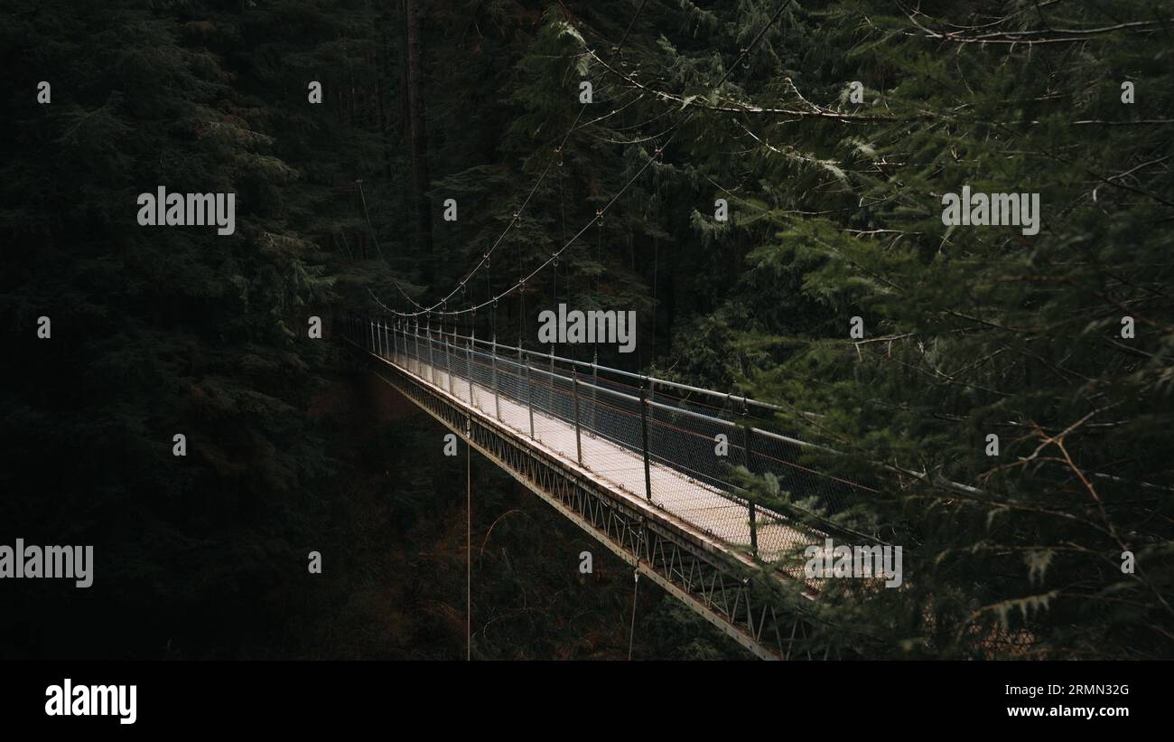 Suspension bridge hike Stock Photo