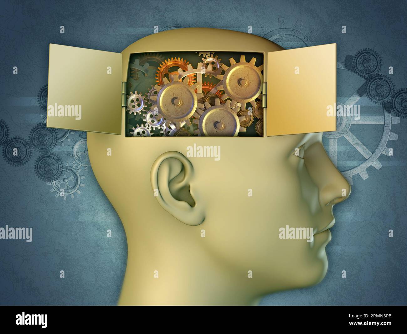 Open window on the mind inner workings. 3D illustration Stock Photo Alamy