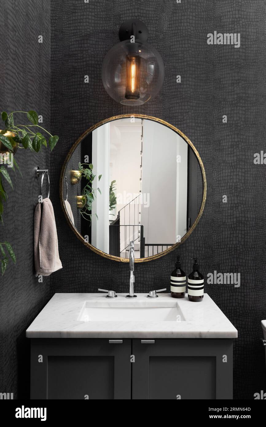 https://c8.alamy.com/comp/2RMN64D/a-bathroom-with-black-snake-skin-wallpaper-circular-gold-mirror-marble-countertop-on-a-grey-cabinet-and-modern-black-light-fixture-2RMN64D.jpg