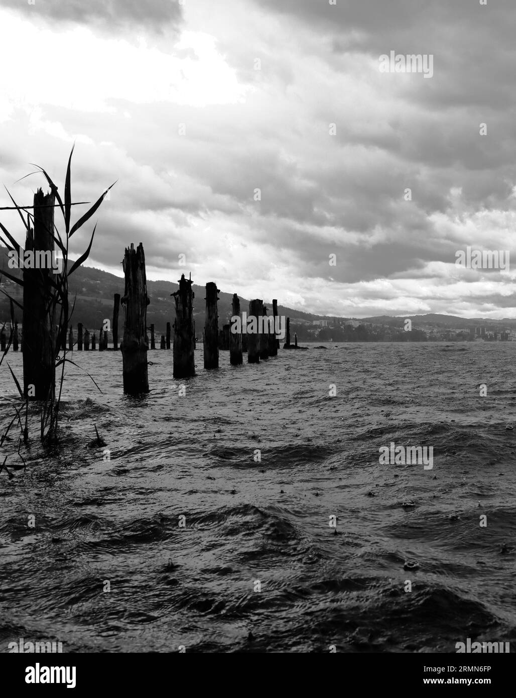 Lake Constance, Bodensee Ufer, Altenrhein, Schweiz Stock Photo Alamy