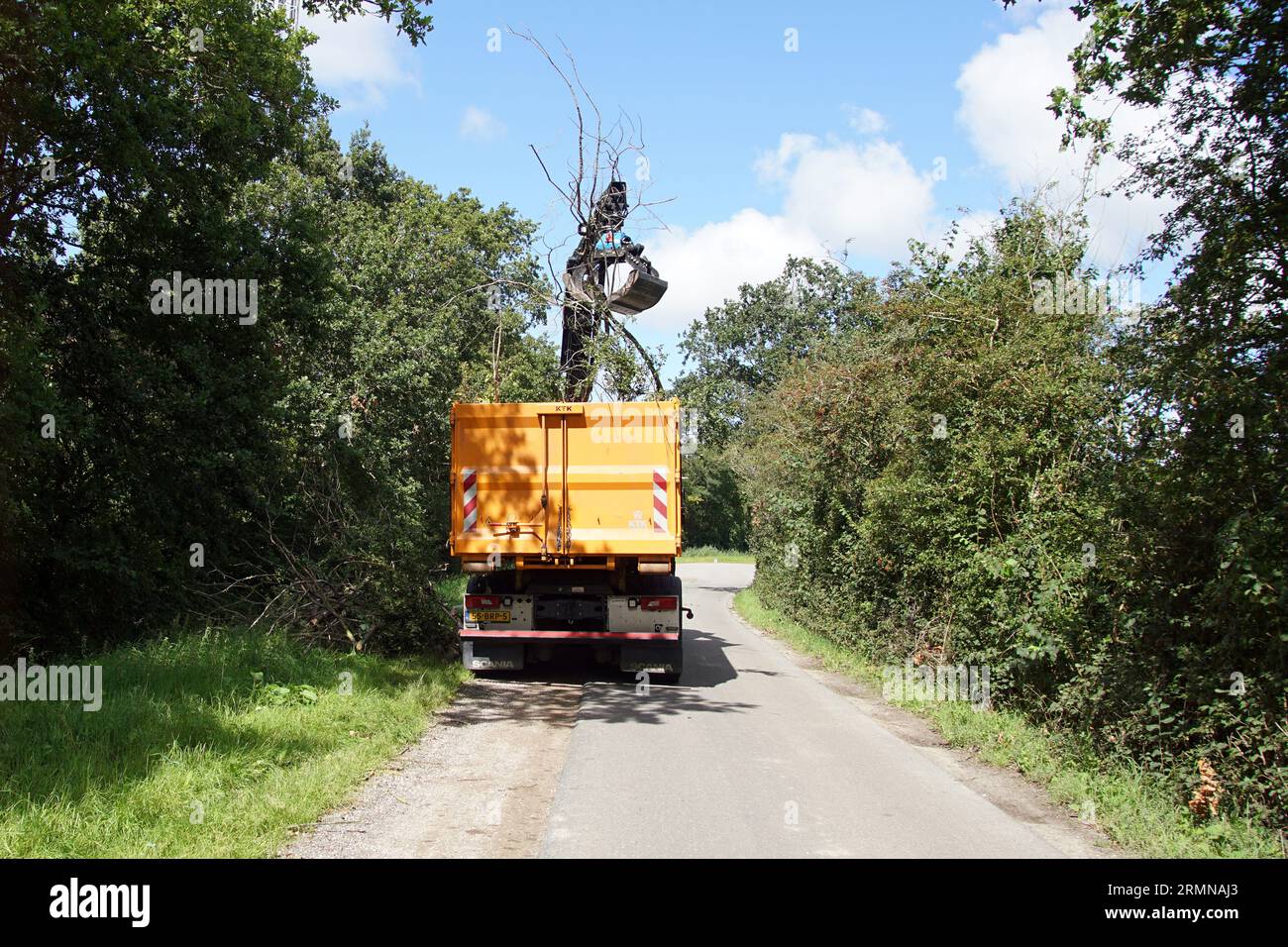 Grapple truck. Truck crane lifts with gripper sawnoff branches into