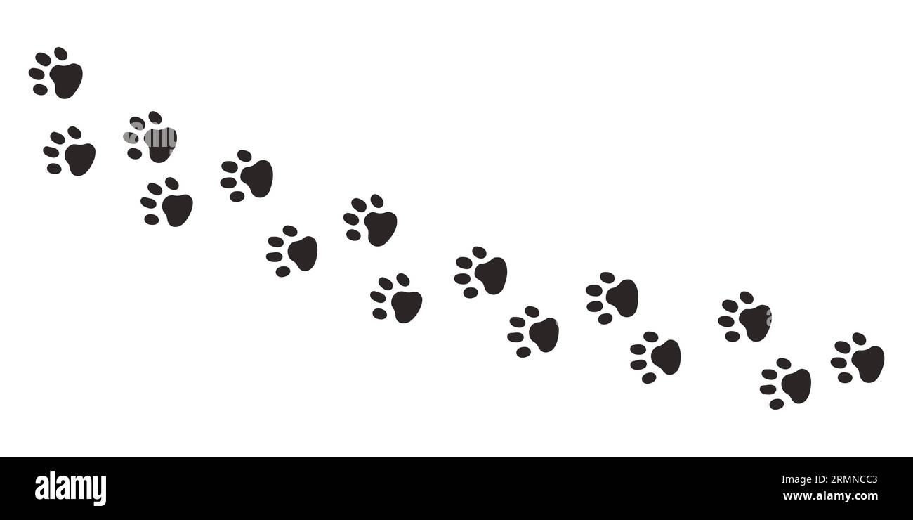Cat paws. Animal paw prints, vector different animals footprints black on white illustration