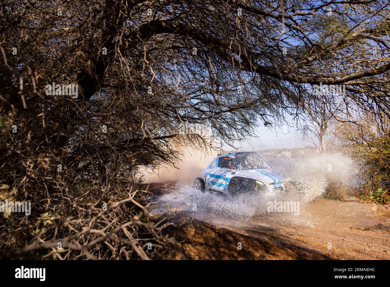 311 RODRIGUEZ Gabriel (arg), DE LA VEGA Santiago (arg), Wevers Sport, Taurus T3Max 4x4, action during the Stage 2 of the Desafio Ruta 40 2023 between La Rioja and Belén, 4th round of the 2023 World Rally-Raid Championship, on August 29, 2023 in Belén, Argentina - Photo Julien Delfosse/DPPI Credit: DPPI Media/Alamy Live News Stock Photo
