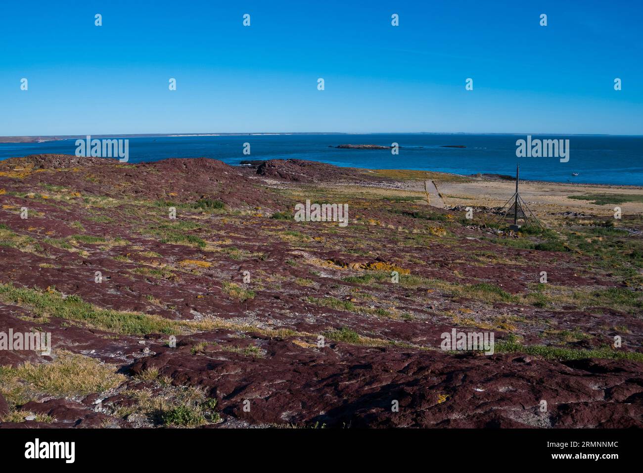 Penguin Island Landscape, Marine Park in Patagonia Argentina Stock