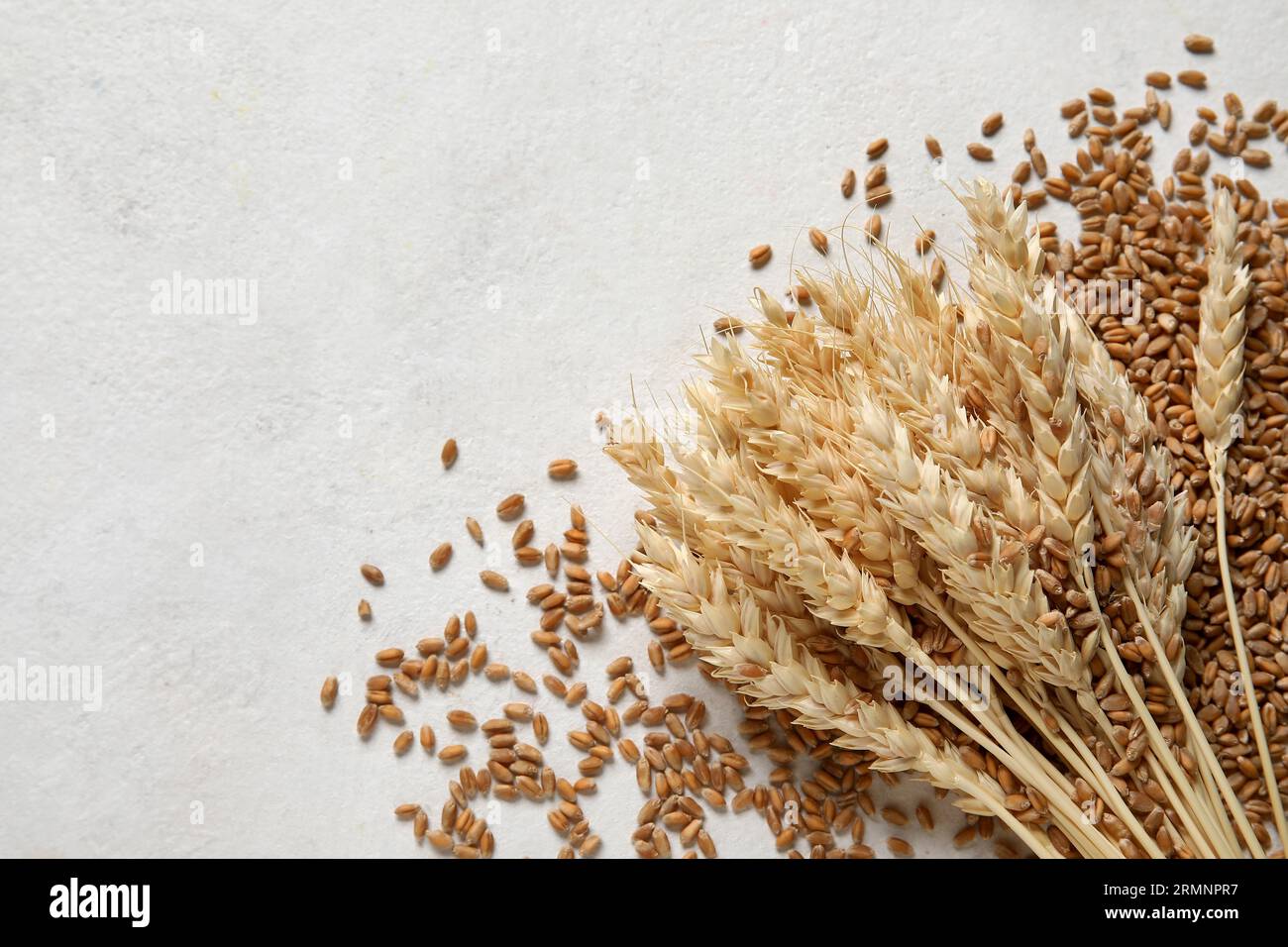 Wheat ears with grains on white background Stock Photo - Alamy