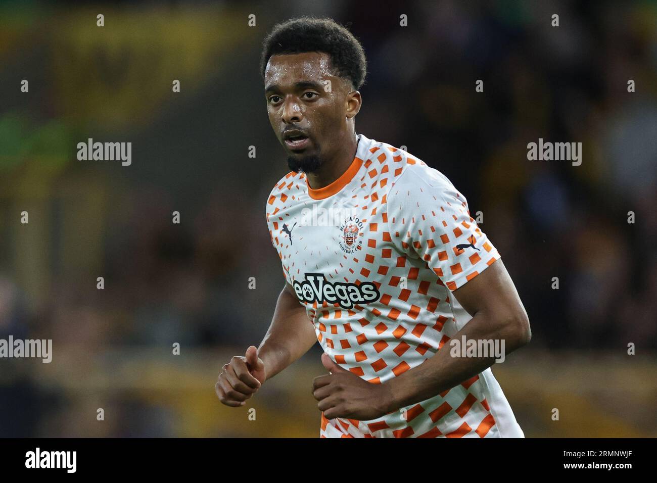 Oakley-Boothe of Blackpool during the Carabao Cup match Wolverhampton Wanderers vs Blackpool at Molineux, Wolverhampton, United Kingdom, 29th August 2023  (Photo by Mark Cosgrove/News Images) Stock Photo