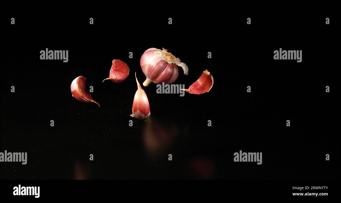 Garlic, allium savitum, falling against Black Background Stock Photo ...