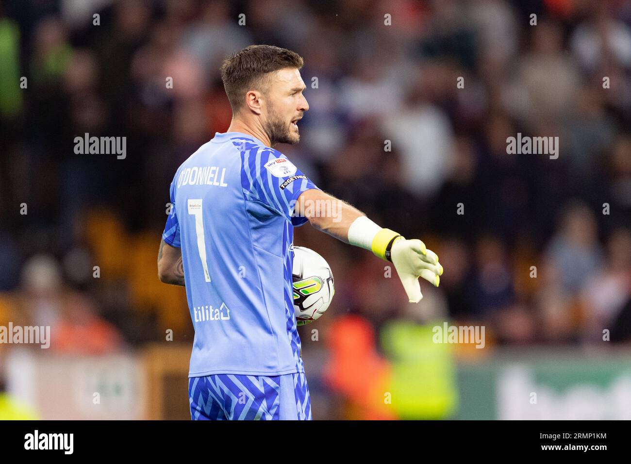 Richard O'Donnell, goalkeeper of Blackpool during the Carabao Cup Second Round match between Wolverhampton Wanderers and Blackpool at Molineux, Wolverhampton on Tuesday 29th August 2023. (Photo: Gustavo Pantano | MI News) Credit: MI News & Sport /Alamy Live News Stock Photo