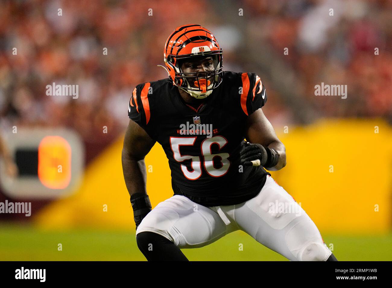 Cincinnati Bengals defensive end Raymond Johnson III drops back to defend  during the second half of an NFL preseason football game between the Cincinnati  Bengals and the Washington Commanders, Saturday, Aug. 26