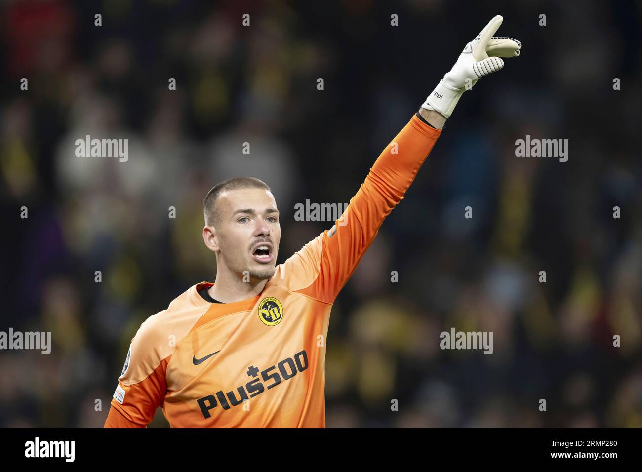 Young Boys' Goalkeeper Anthony Racioppi Reacts During The UEFA.