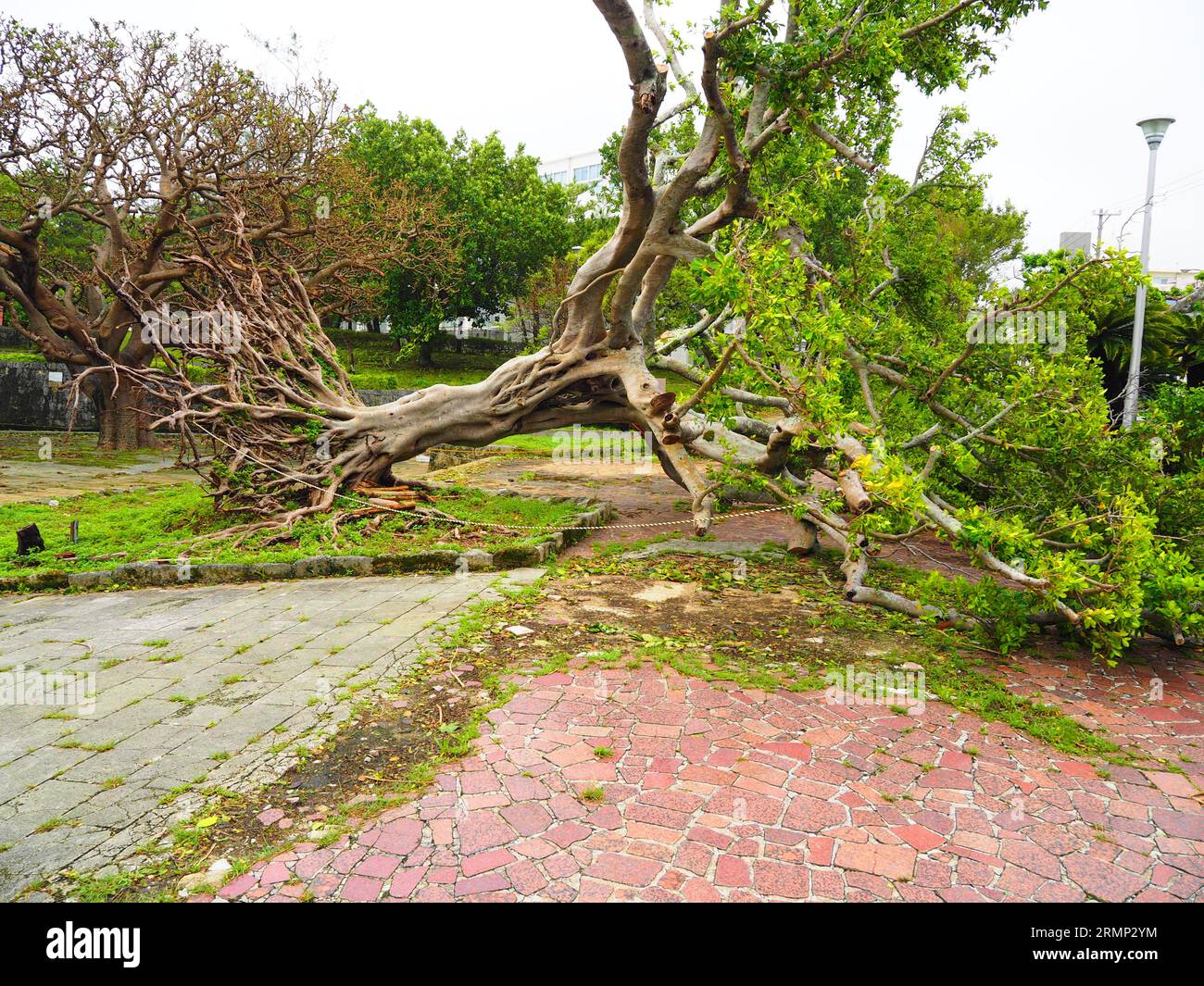 Typhoon Okinawa, Japan #Naha #KeramaIslands Stock Photo
