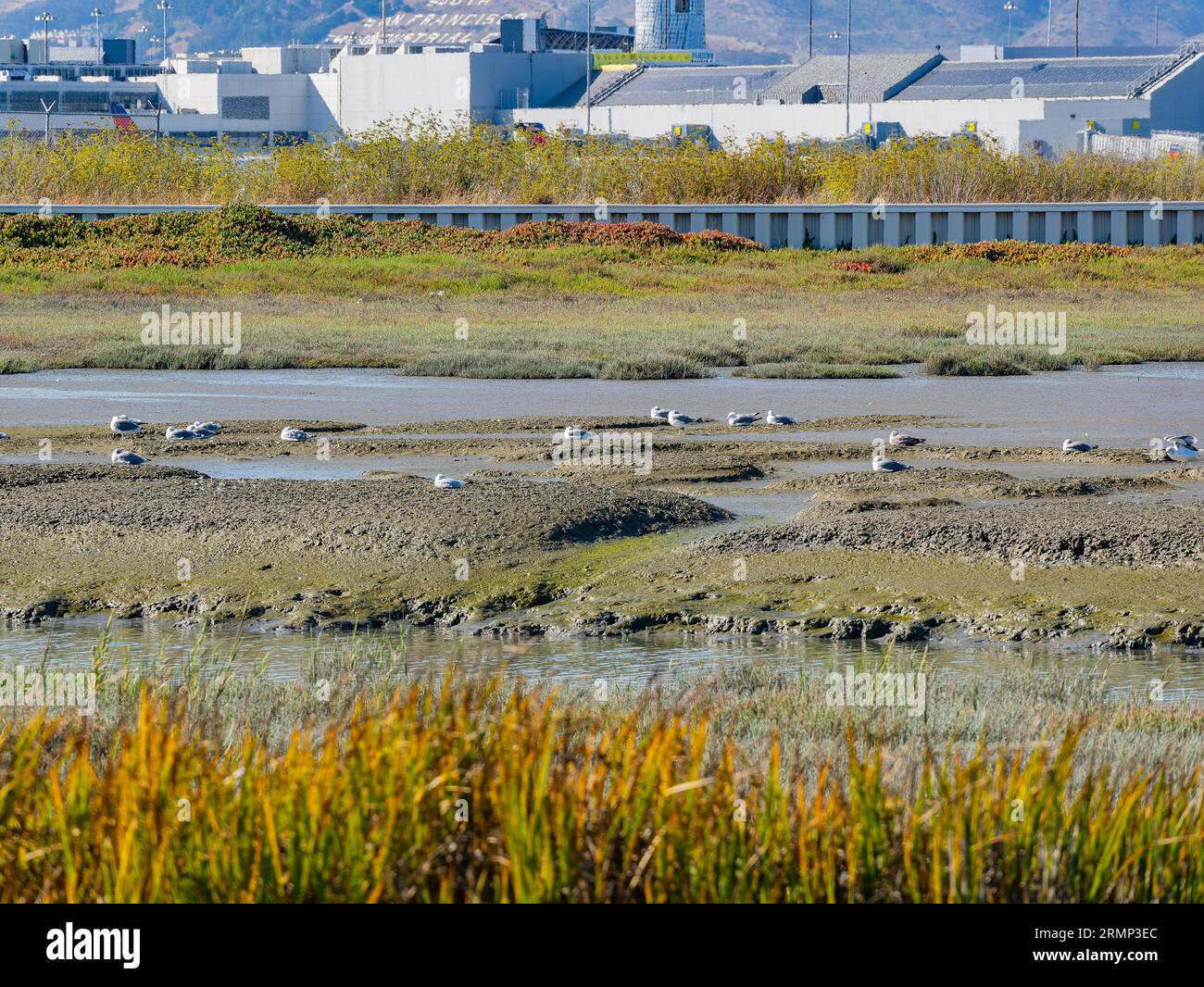 Bayfront park hi-res stock photography and images - Alamy