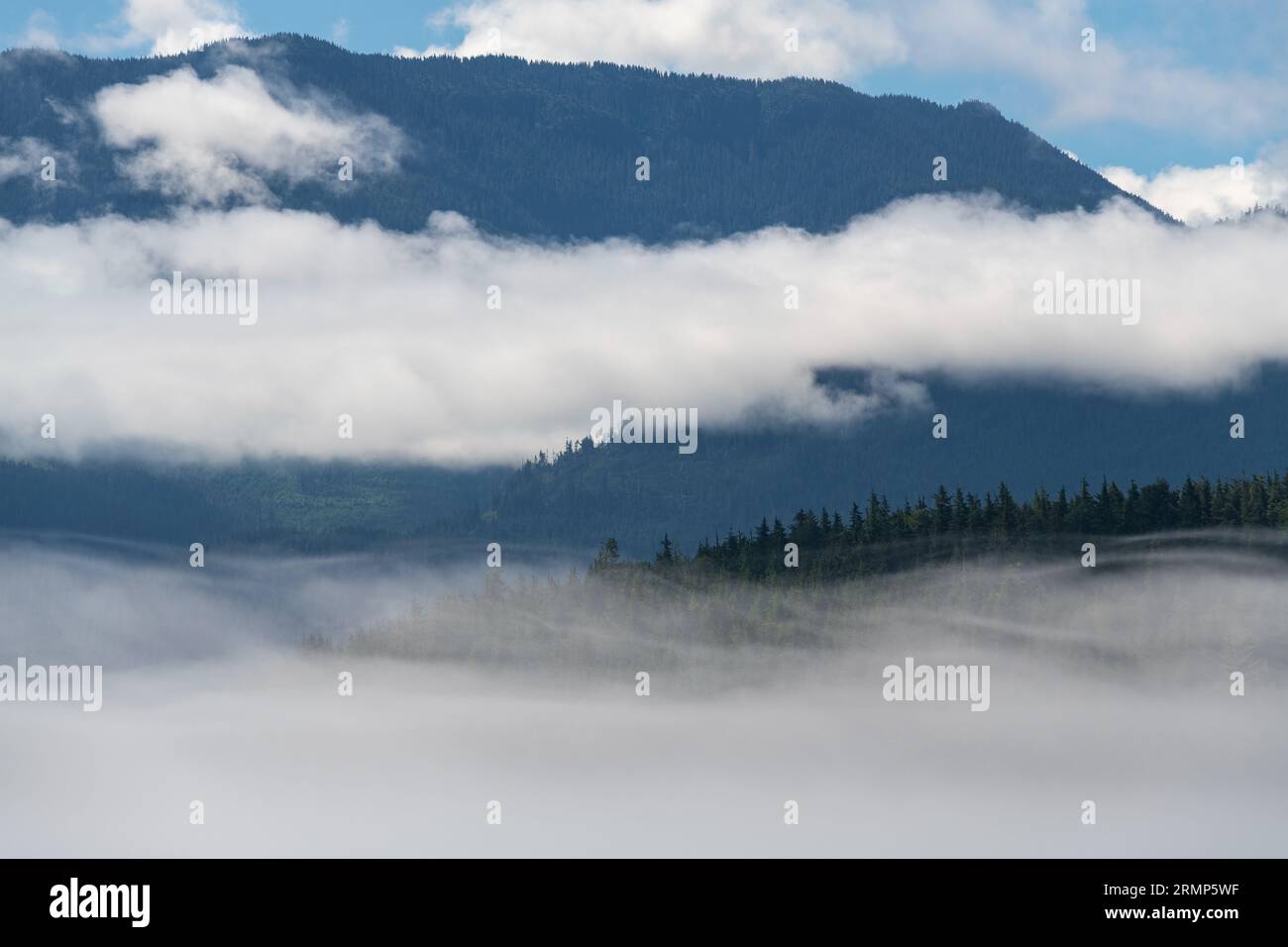 Morning mist in Telegraph Cove, Vancouver Island, British Columbia, Canada. Stock Photo