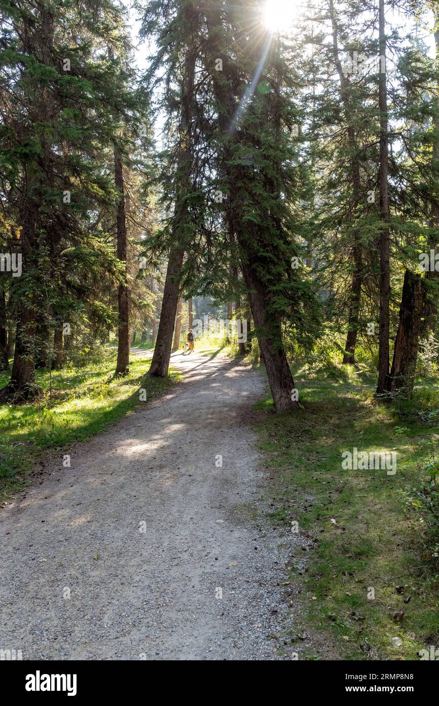 Bowness Park has something for everyone, a wading pool for the kids