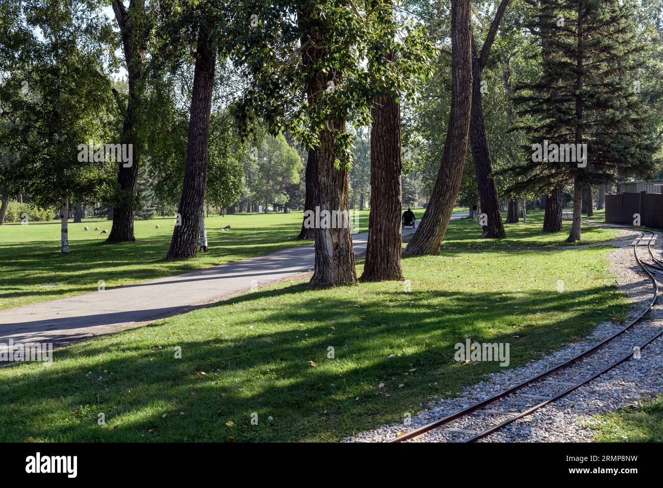 Bowness Park has something for everyone, a wading pool for the kids