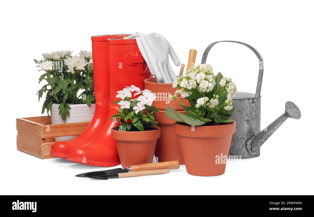 Beautiful flowers, pots, rubber boots and gardening tools isolated on ...