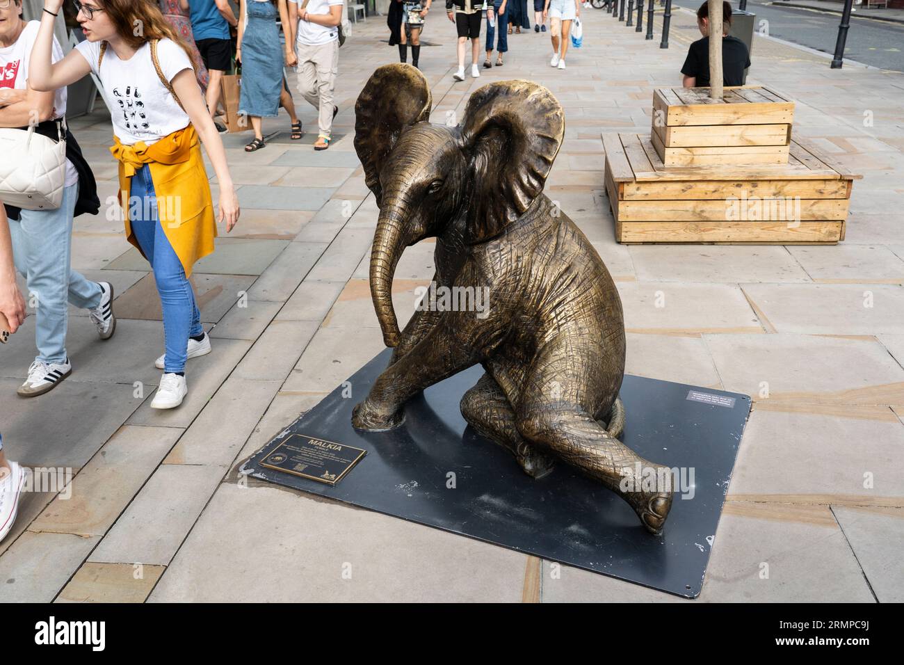 A bronze sculpture of an orphaned baby female elephant called Malkia rescued by the Sheldrick Wildlife Trust. Brushfeld Street, London, UK Stock Photo