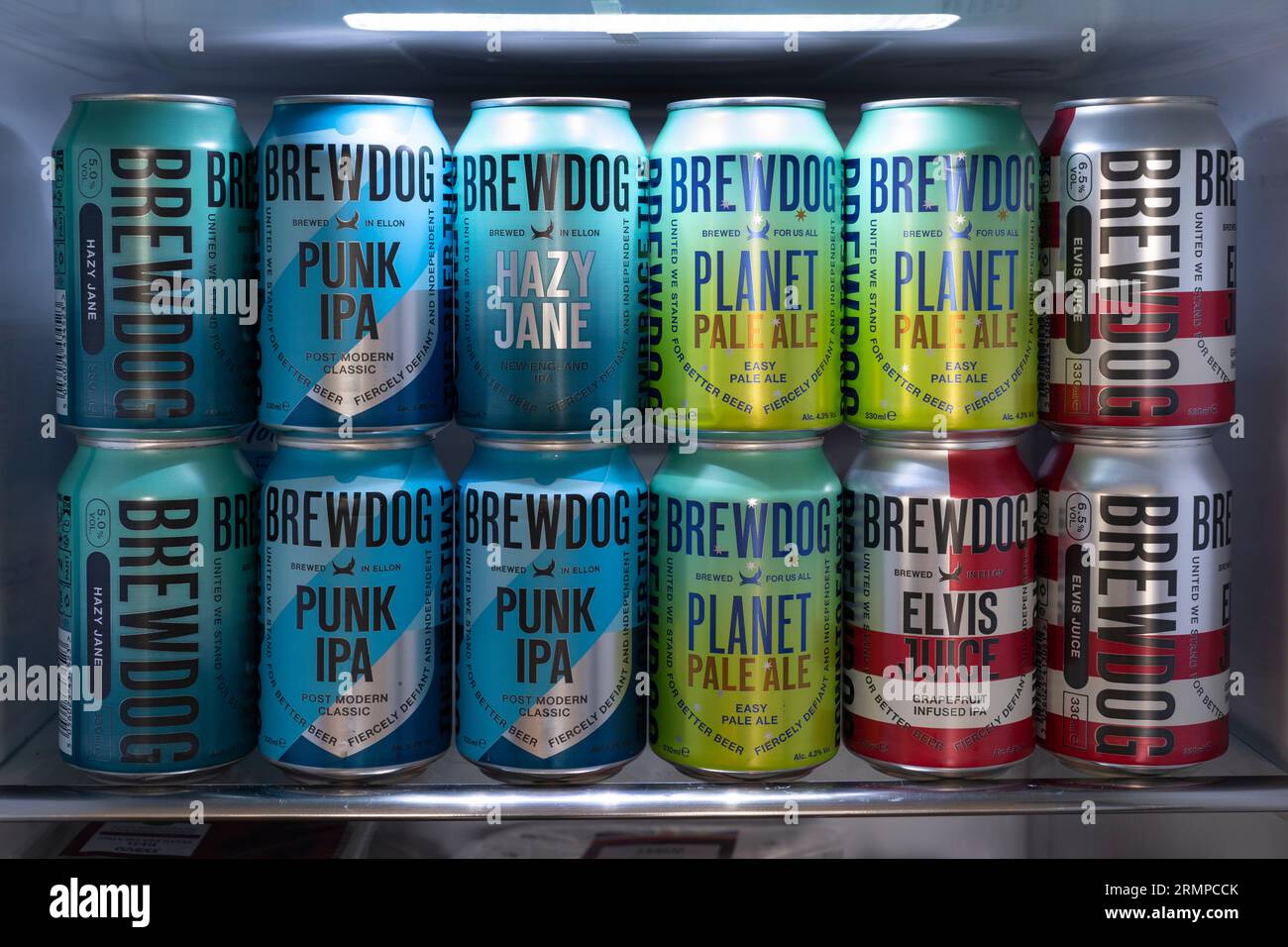 A selection of BrewDog IPA cans, including Punk IPA, Planet Pale Ale, Elvis Juice and Hazy Jane filling a fridge. England, UK Stock Photo