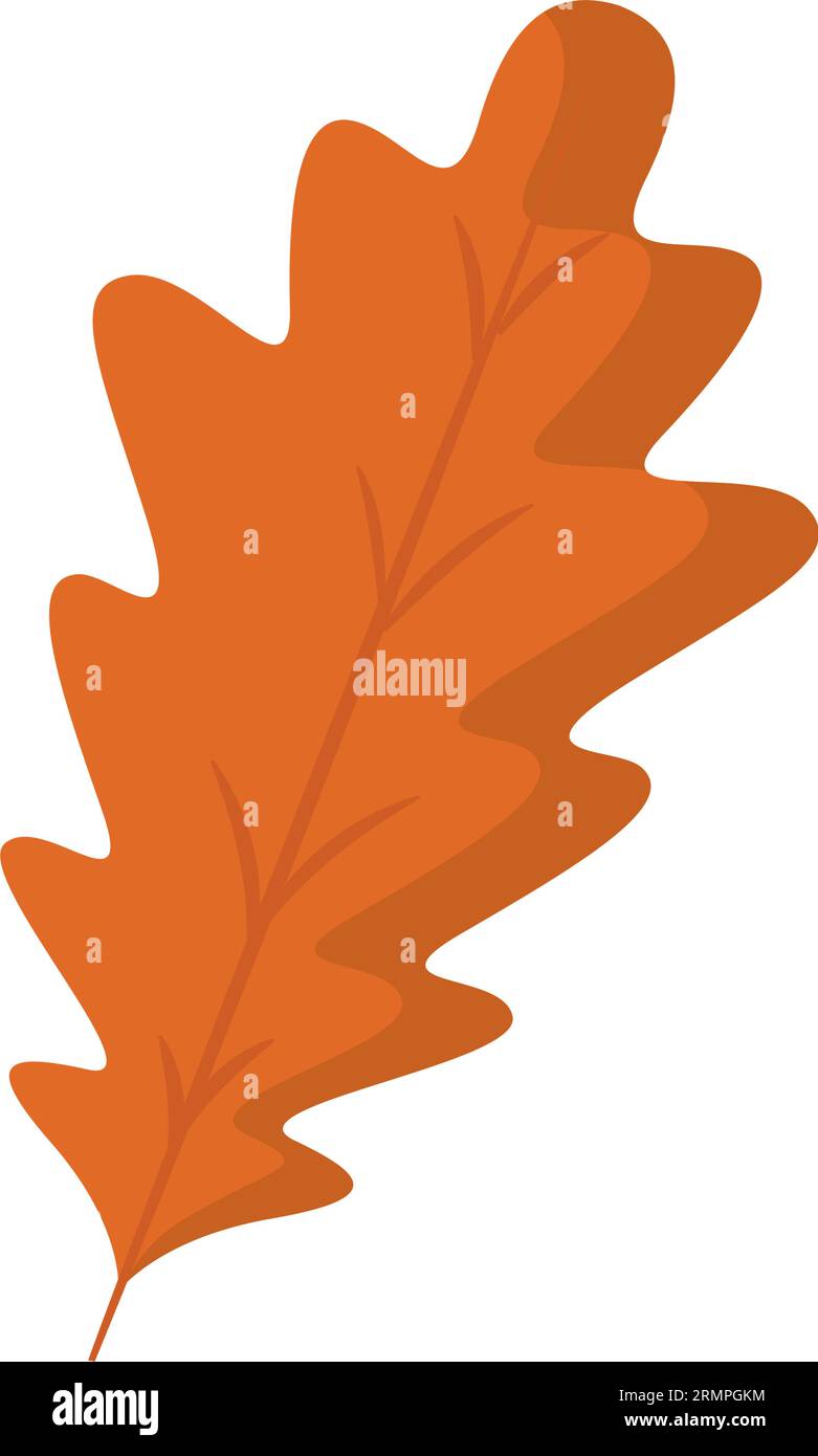 Isolated colored autumn leaf icon Vector Stock Vector Image & Art - Alamy