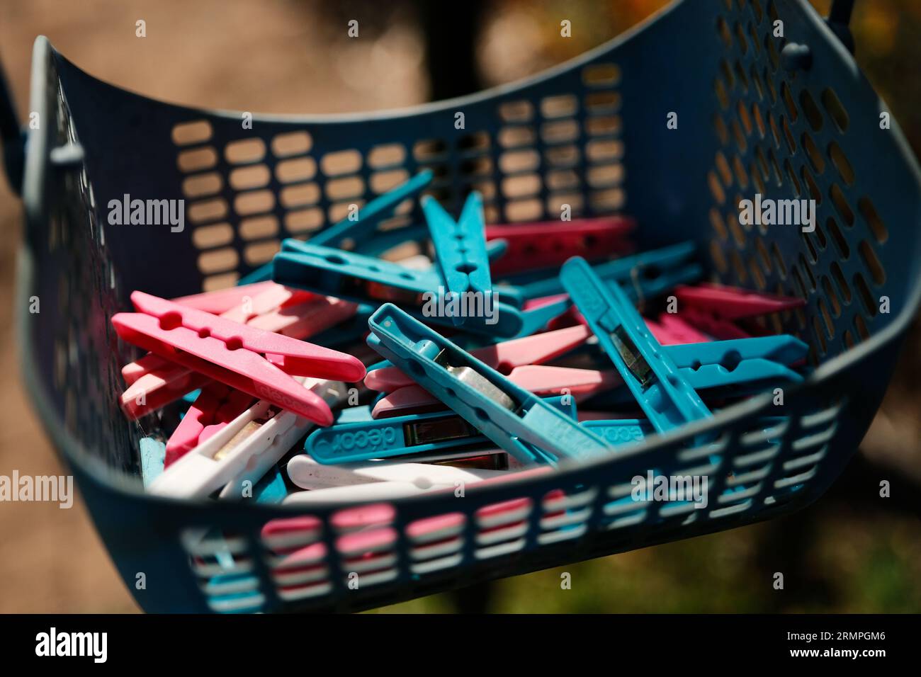 a basket of clothes pegs in pink and blue Stock Photo