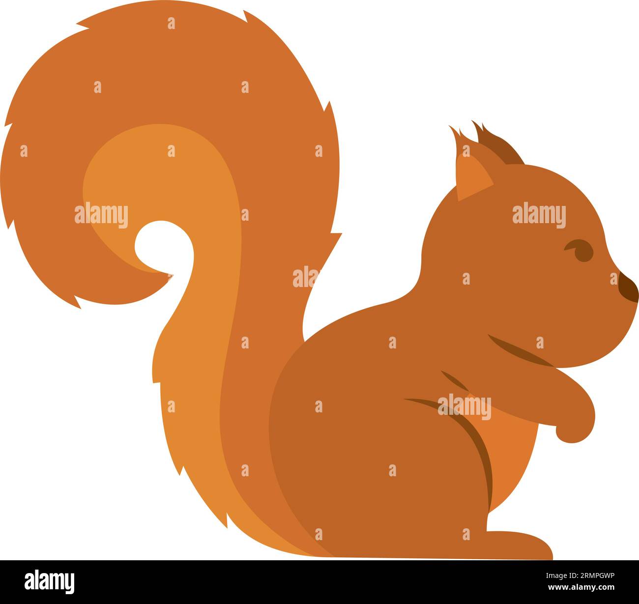 Isolated colored cute squirrel animal Vector Stock Vector Image & Art ...
