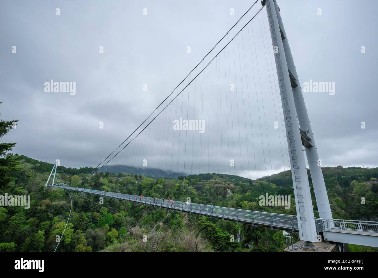 Japan, Kyushu. YumenoOhashi Suspension Bridge, largest pedestrian
