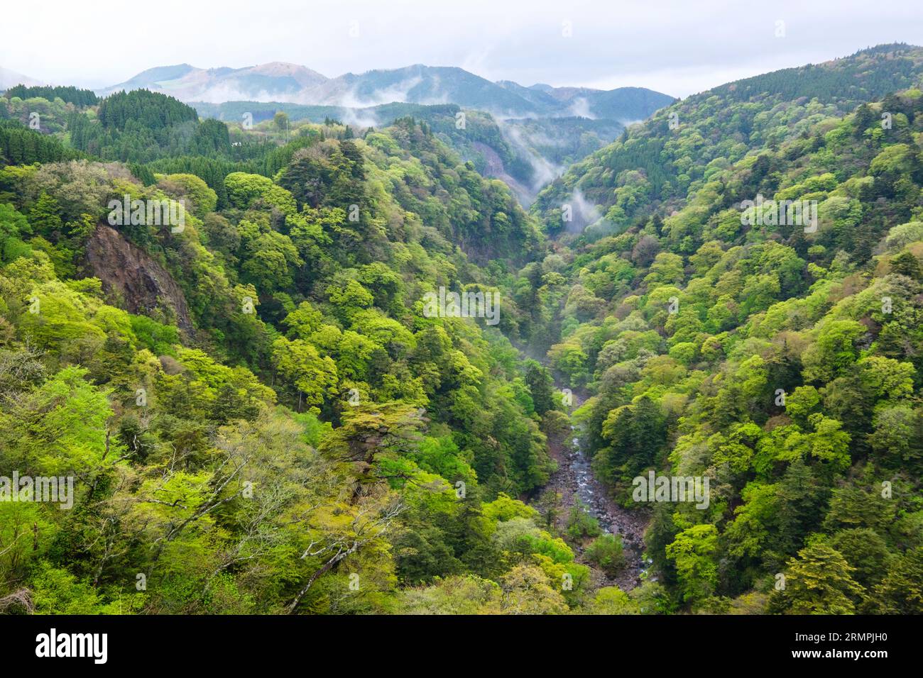 Japan, Kyushu. Scenic View from YumenoOhashi Suspension Bridge