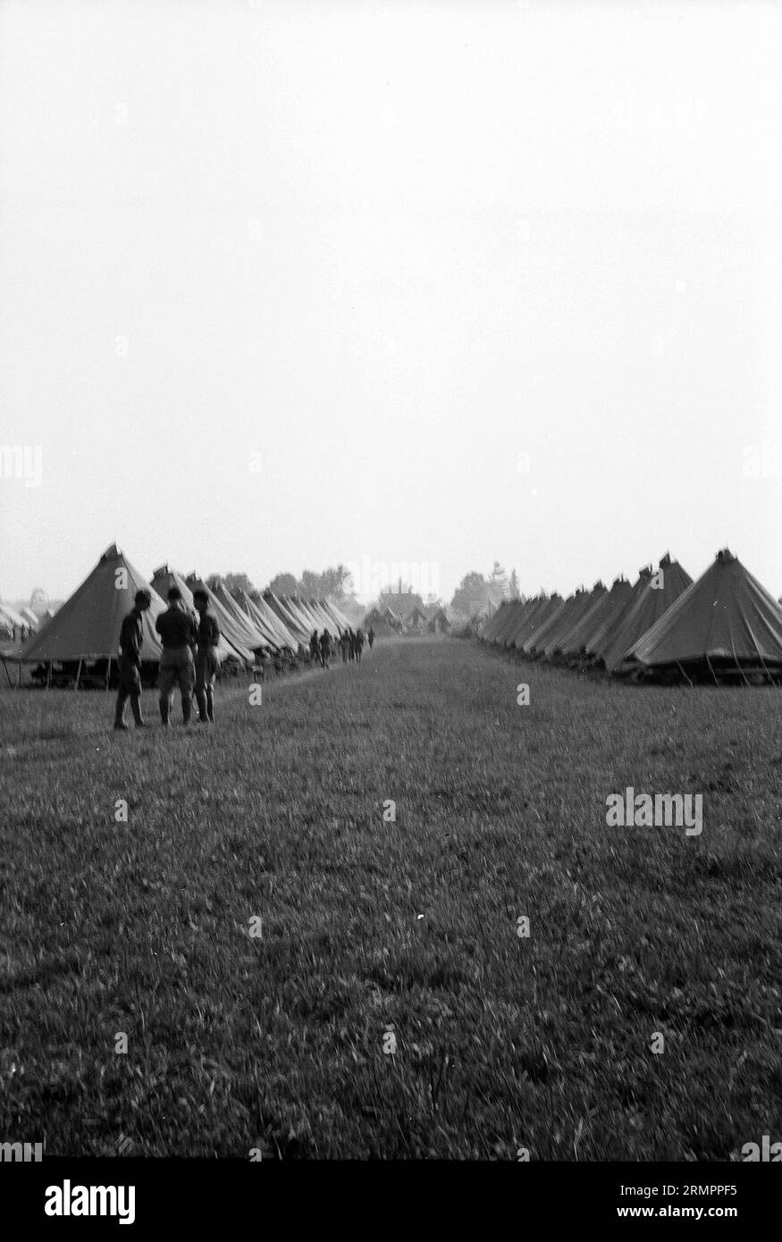 Three soldiers standing at lines of tents. Members of the United States