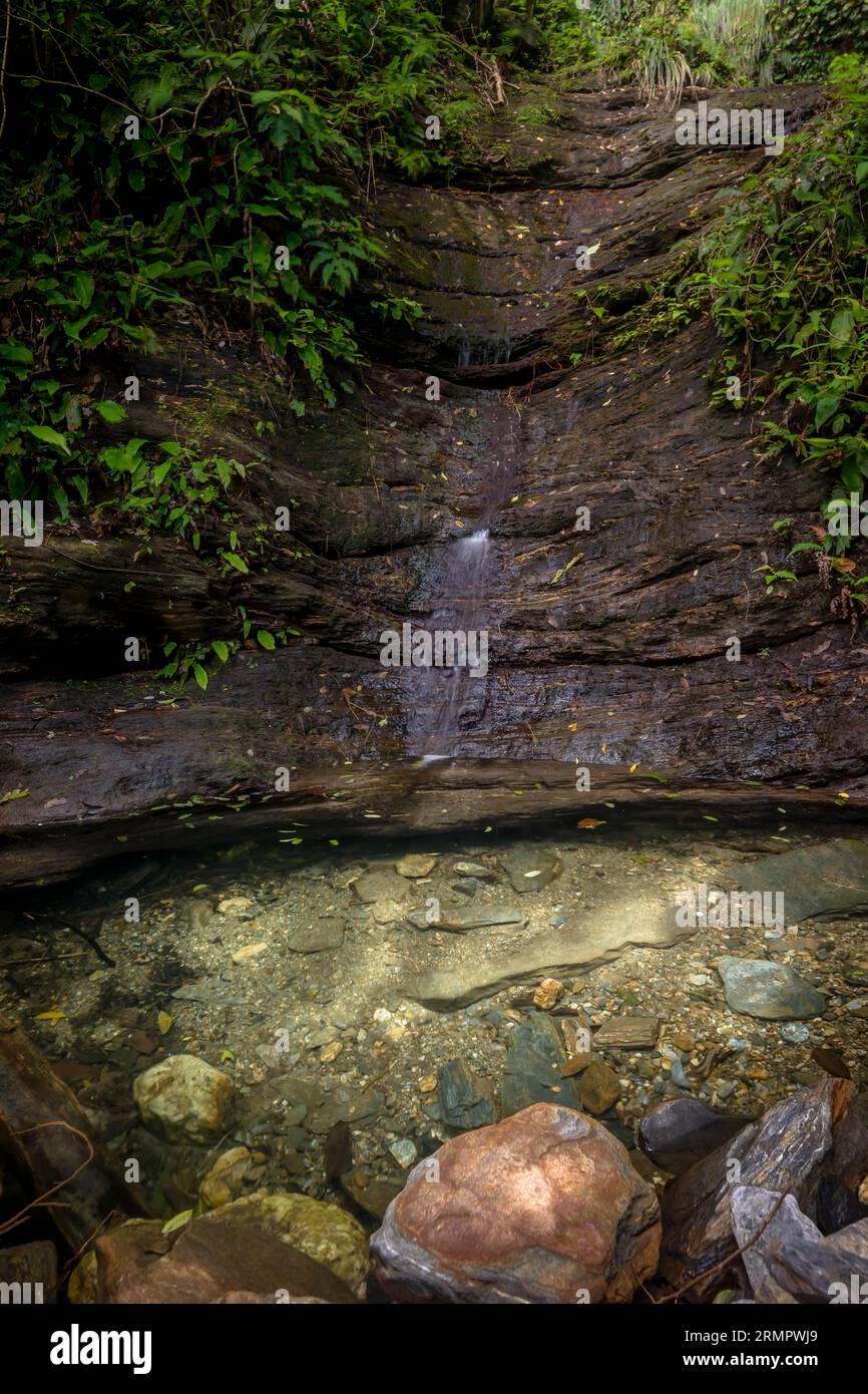 Tiny Stream on the trail to Edith Falls, Chaguaramas, Trinidad Stock Photo