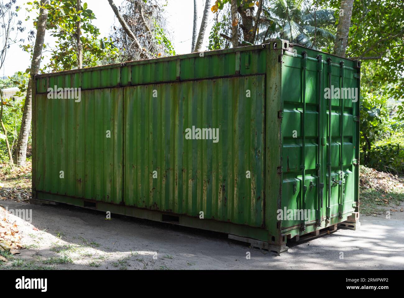 Green cargo container stands in shadow of trees, modern industrial shipping equipment Stock Photo