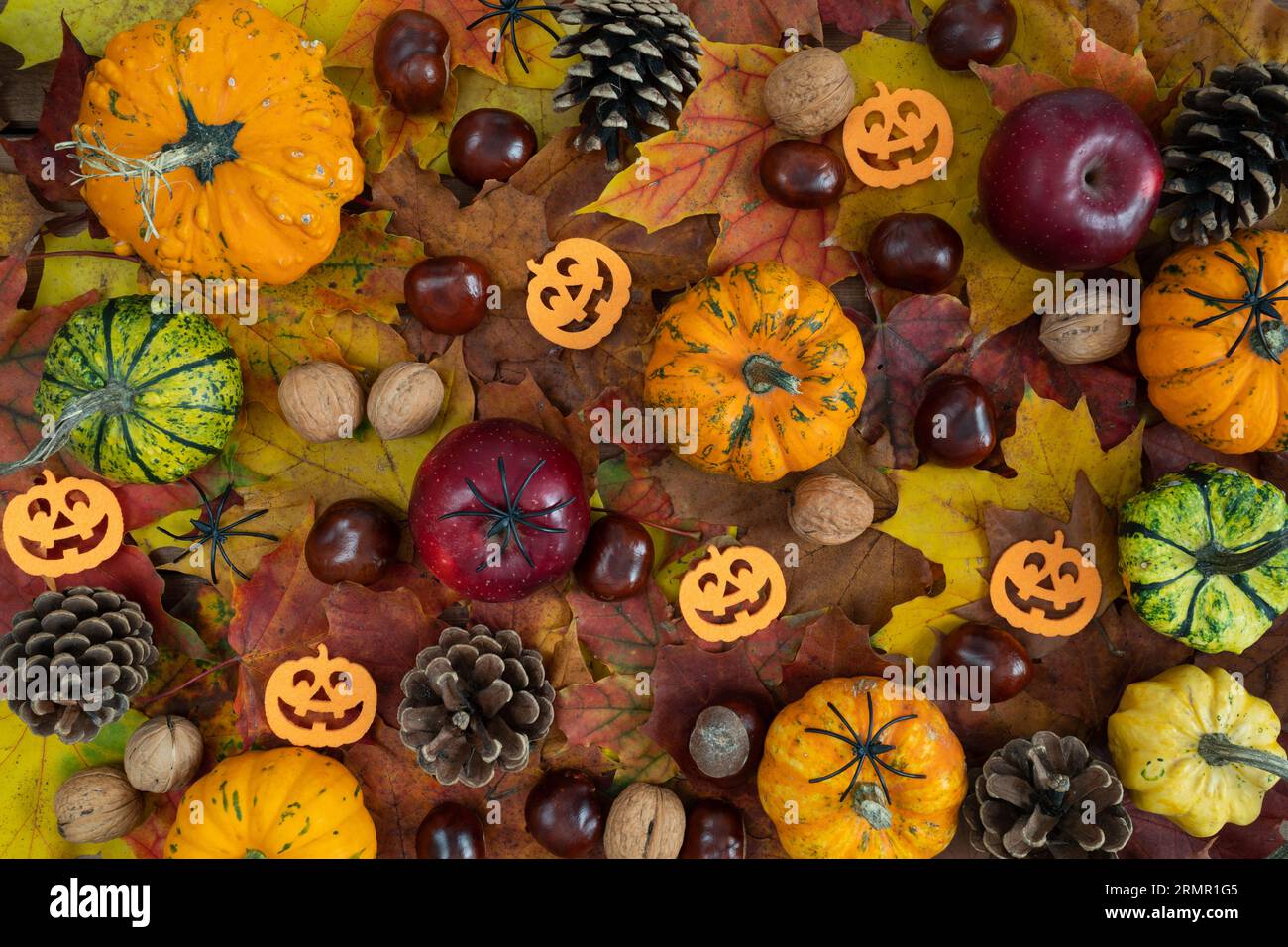 Small Halloween decorations flat lay composition, with decorative autumn pumpkins, apples, cones, walnuts and chestnuts on fall leaves. Stock Photo